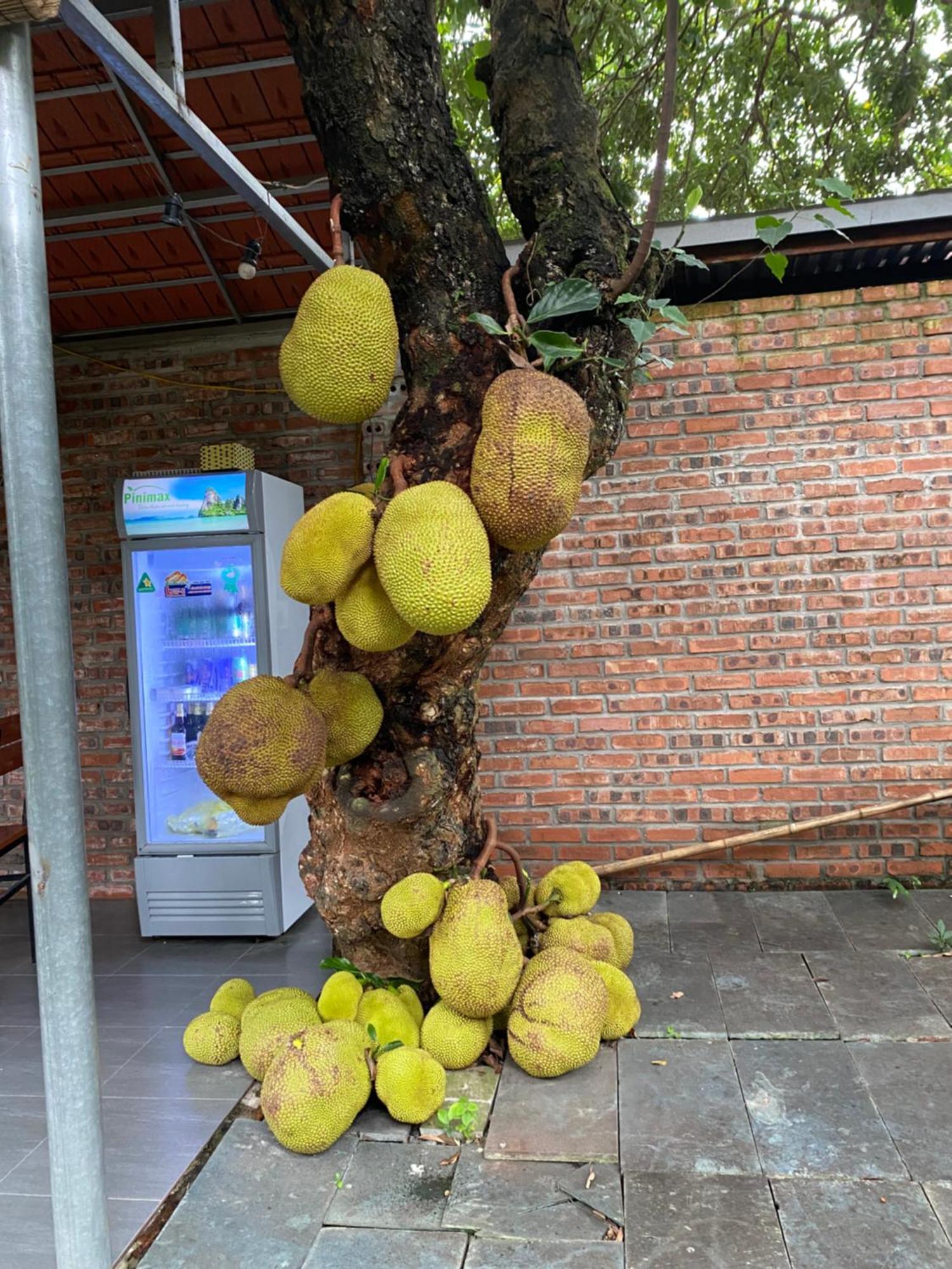 Nam Nhung Tam Coc Homestay 宁平 外观 照片